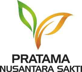 PT. PNS